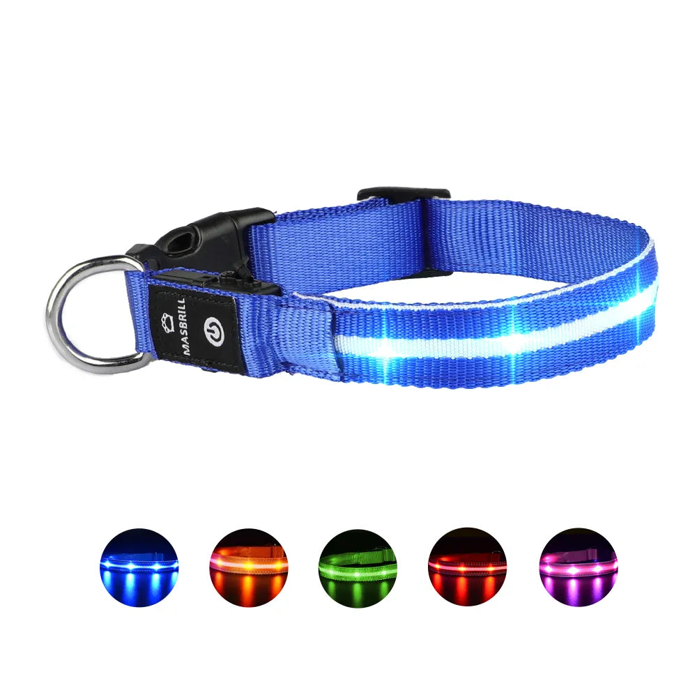 USB Rechargeable Pet Dog Glowing Collar