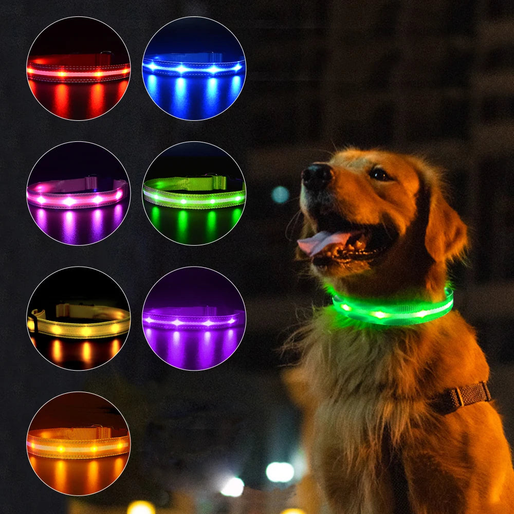 USB Rechargeable Pet Dog Glowing Collar