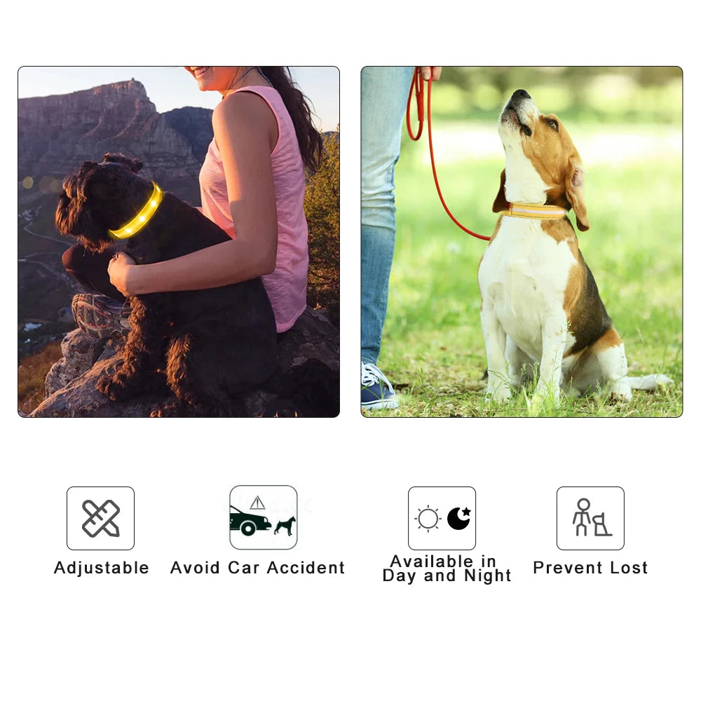 USB Rechargeable Pet Dog Glowing Collar