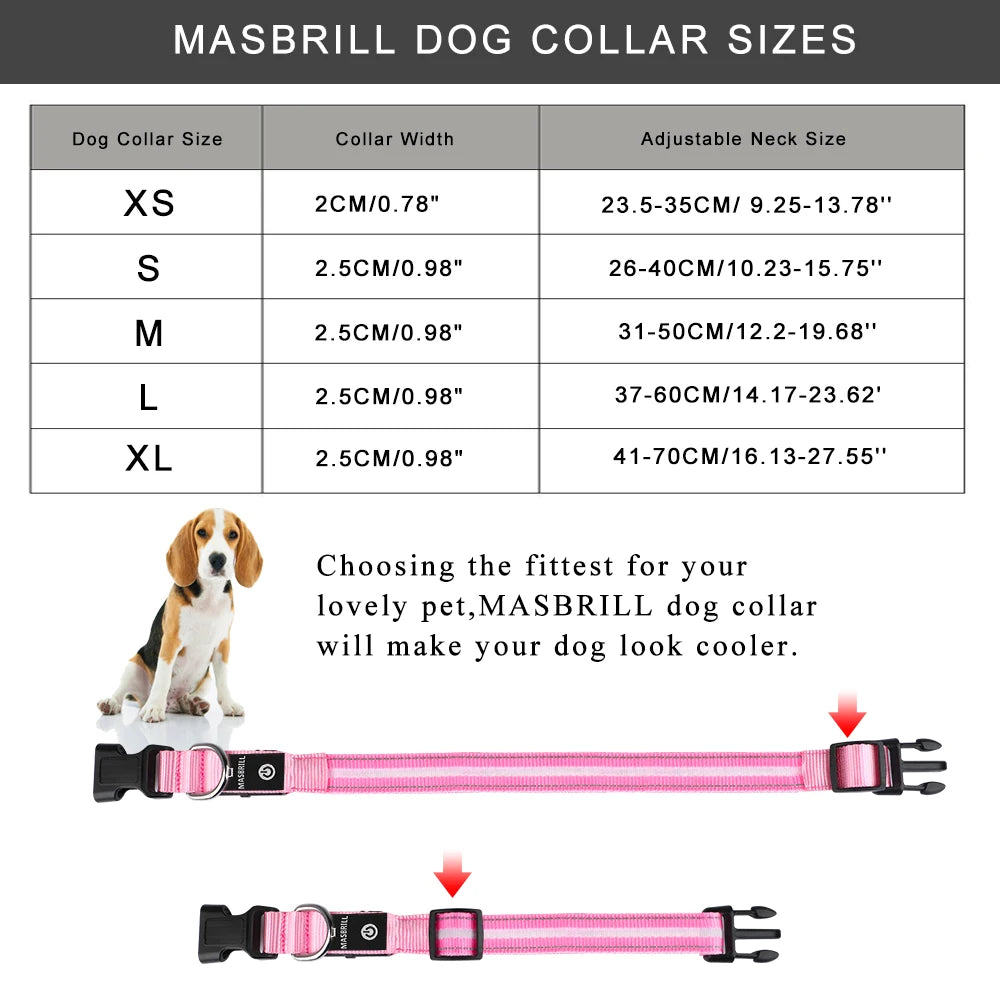 USB Rechargeable Pet Dog Glowing Collar