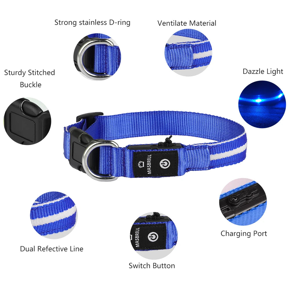 USB Rechargeable Pet Dog Glowing Collar