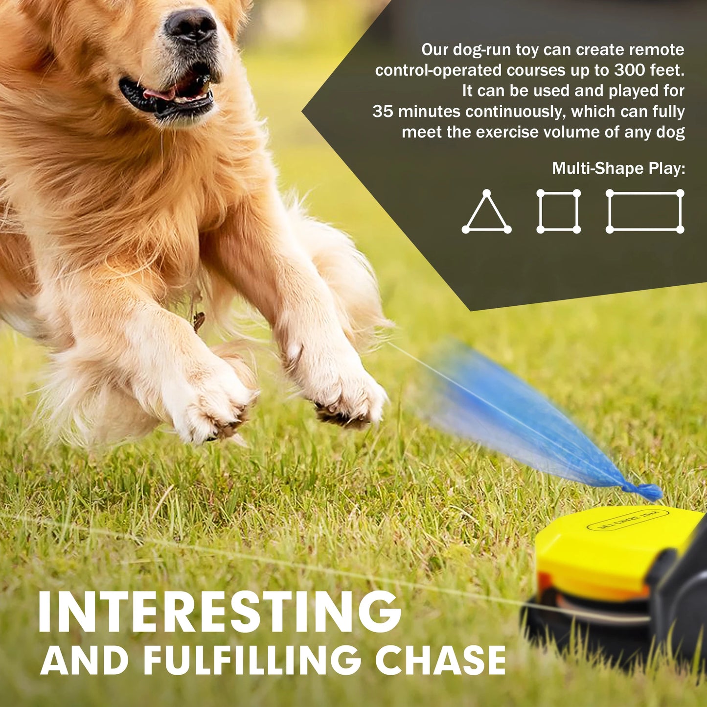 Interactive Dog Course, Agility Training Equipment for Dogs - My Store