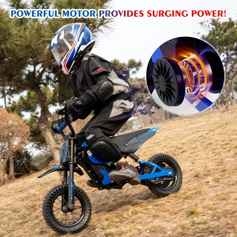 Electric Dirt Bike,300W Electric Motorcycle