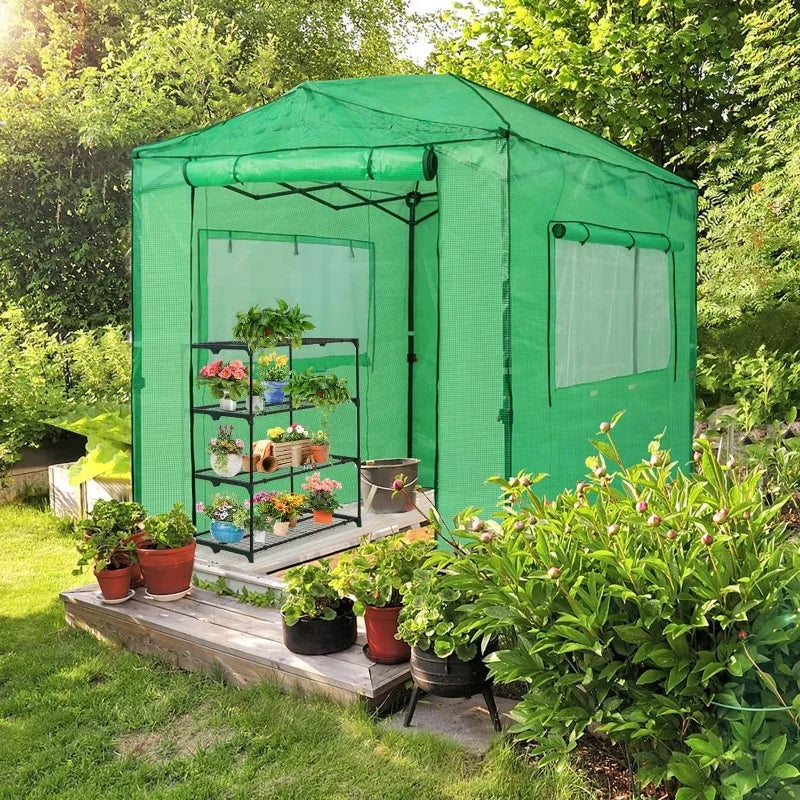 8 x 6 Portable, Walk-in Pop-up Greenhouse