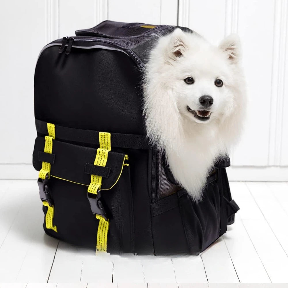 Airline-Compliant Pet Backpack