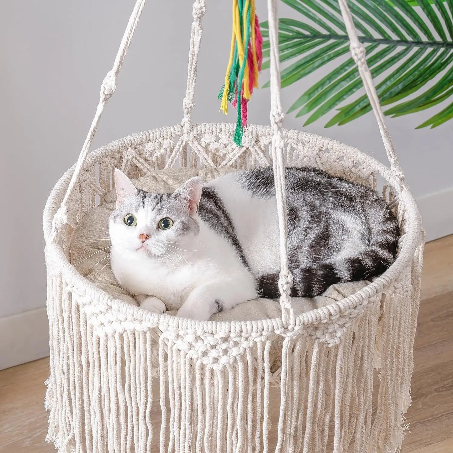 Macrame Cat Hammock